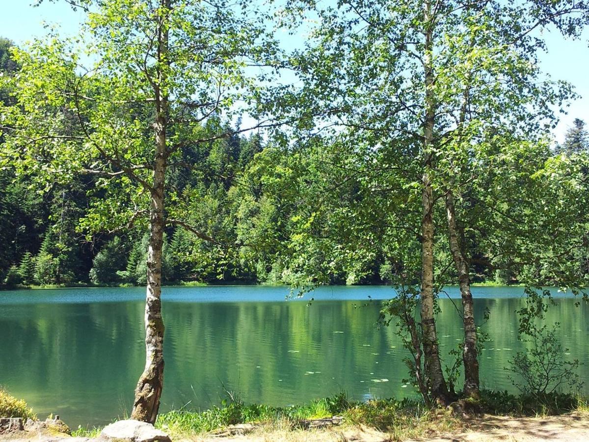 Holiday home Paillehouse Vosges *